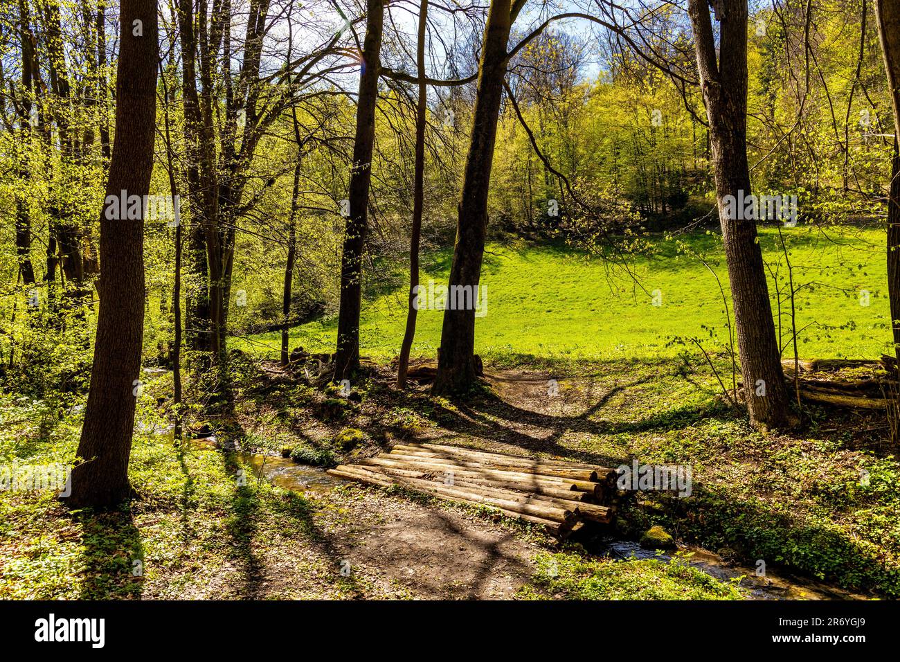 Saspowska Valley nature park and reserve along Saspowka creek in spring season within Jura Krakowsko-Czestochowska Jurassic upland in Lesser Poland Stock Photo