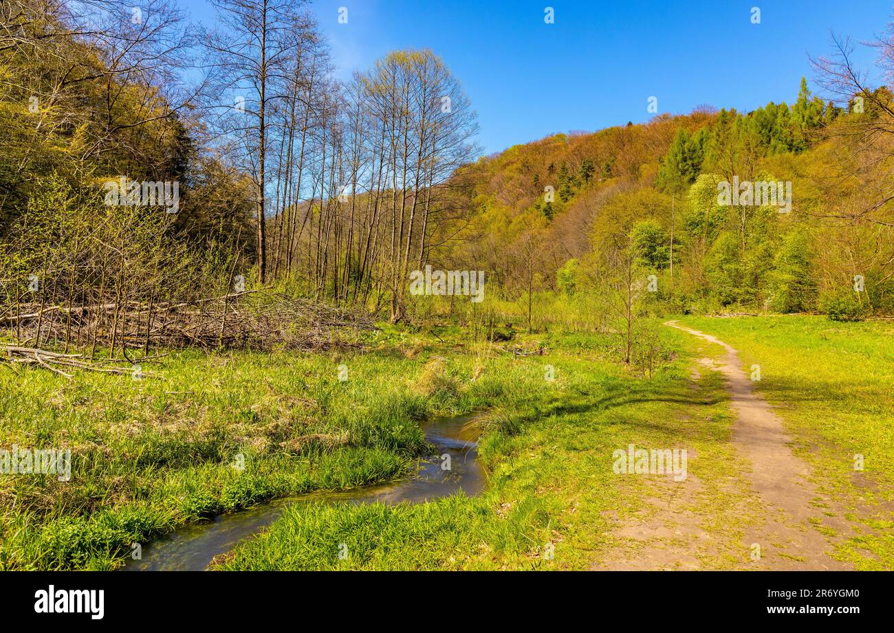 Saspowka creek in Saspowska Valley nature park and reserve in spring season within Jura Krakowsko-Czestochowska Jurassic upland in Lesser Poland Stock Photo