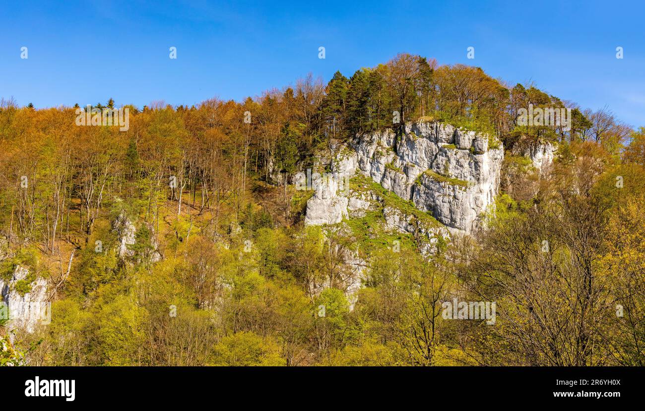 Plazowki Rocks limestone wall above Pradnik Valley Dolina Pradnika nature park in spring season within Jura Krakowsko-Czestochowska in Lesser Poland Stock Photo