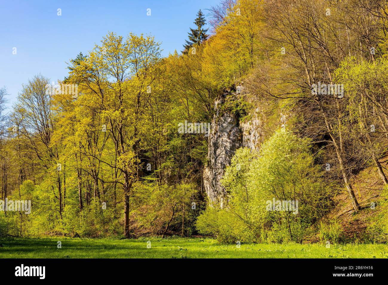 Saspowska Valley nature park and reserve along Saspowka creek in spring season within Jura Krakowsko-Czestochowska Jurassic upland in Lesser Poland Stock Photo