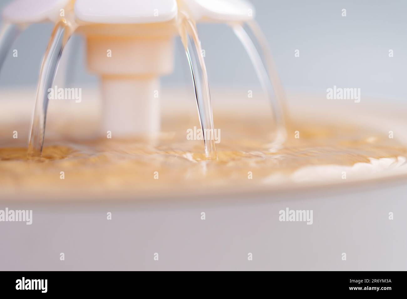 Cat drinking fountain in the shape of a flower with flowing water Stock ...