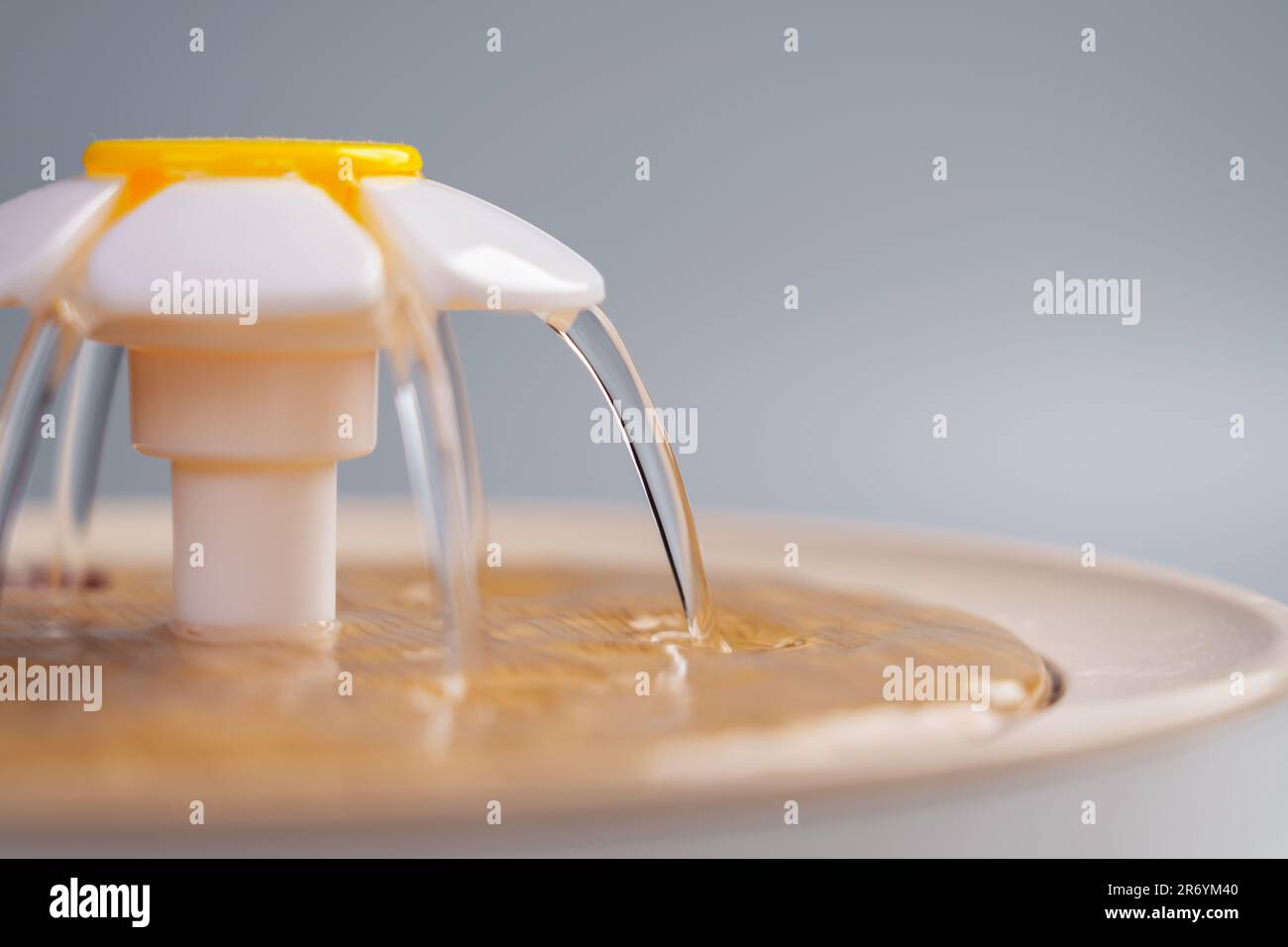 Cat drinking fountain in the shape of a flower with water Stock Photo Alamy