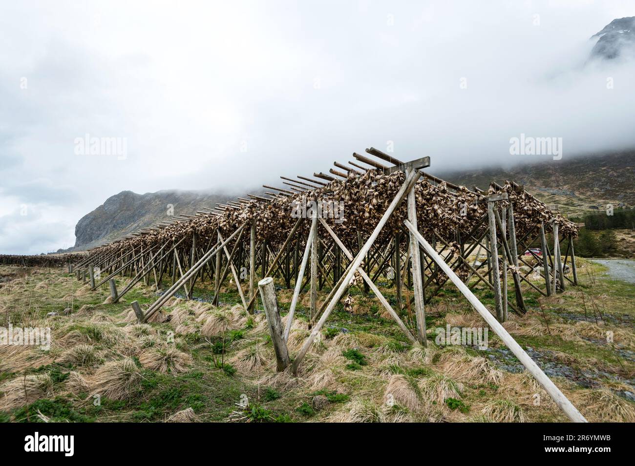Stockfisch, Reine Lofoten, Norwegen Stock Photo - Alamy