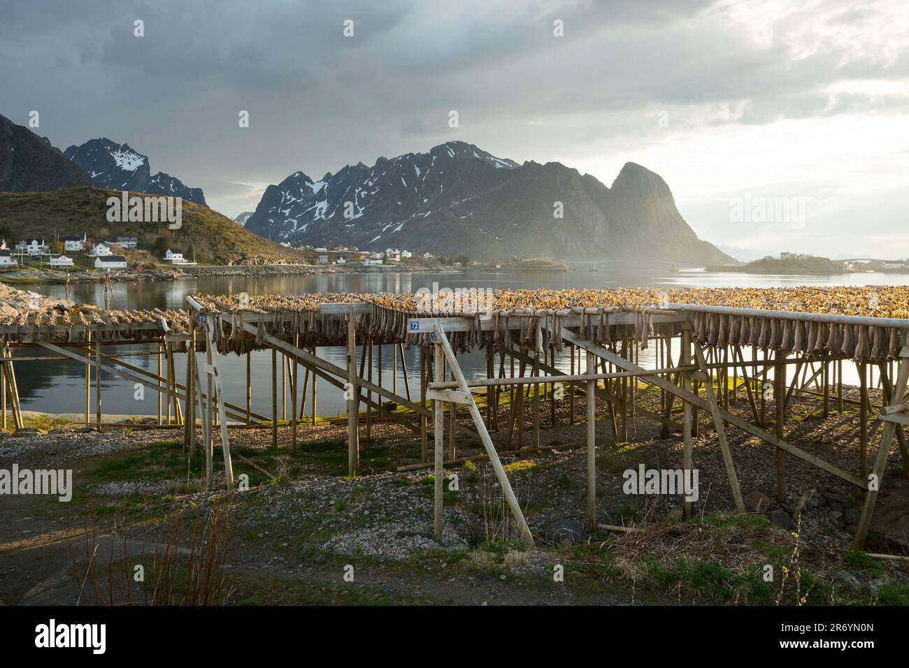Stockfisch, Reine Lofoten, Norwegen Stock Photo - Alamy