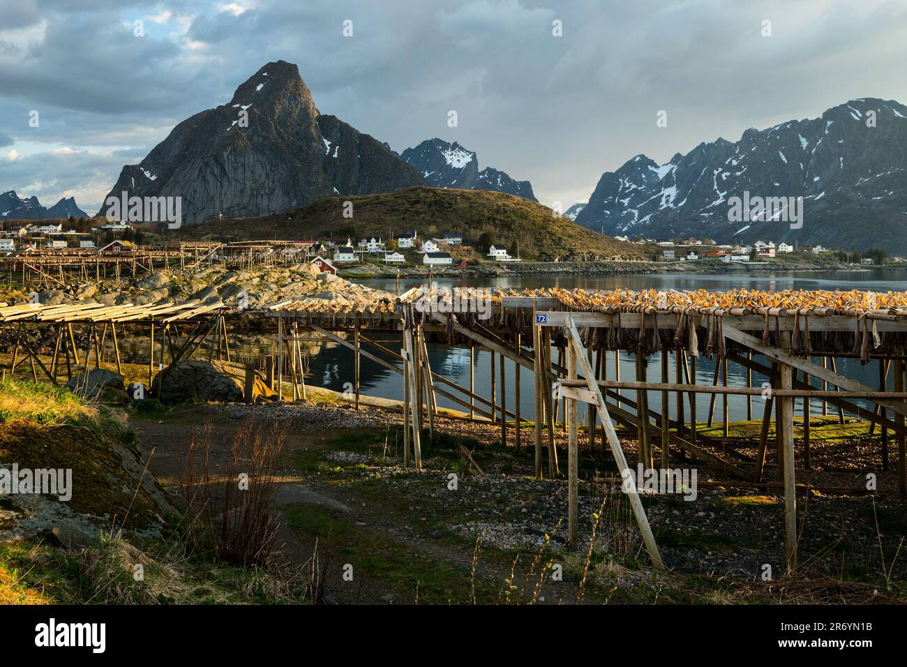 Stockfisch, Reine Lofoten, Norwegen Stock Photo - Alamy