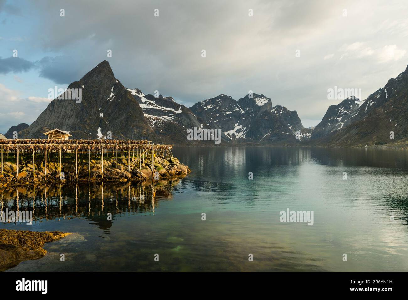 Stockfisch, Reine Lofoten, Norwegen Stock Photo - Alamy