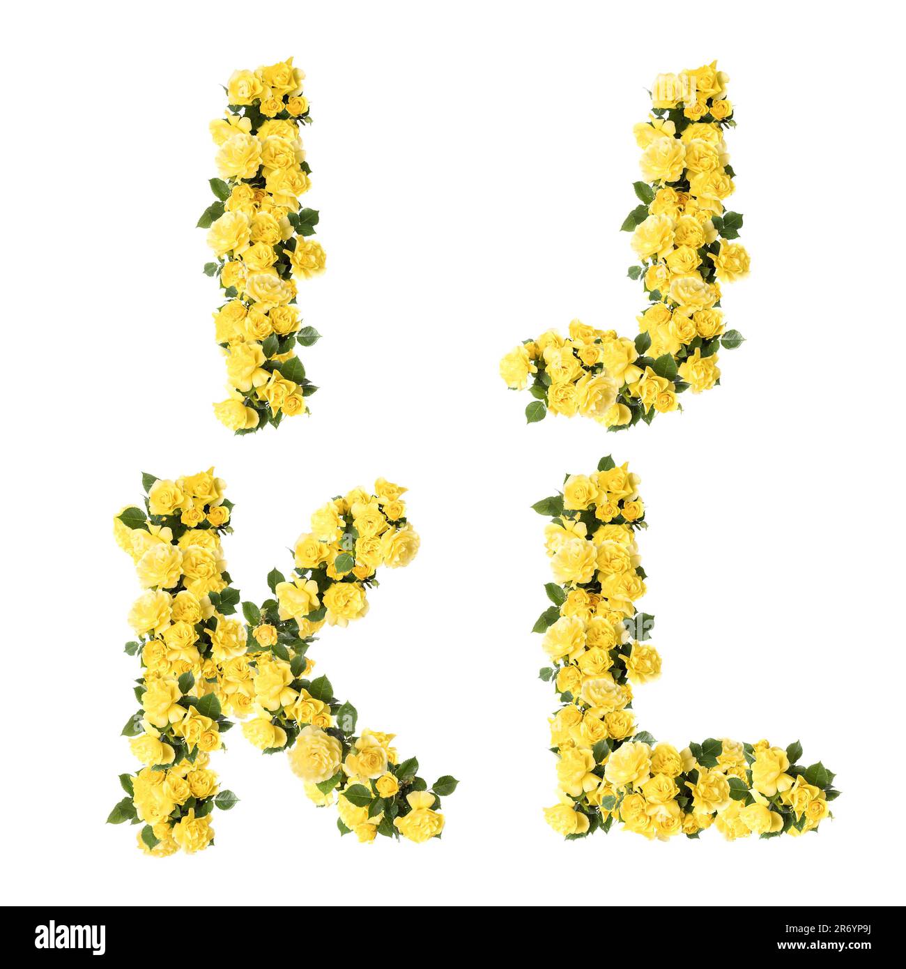 3D illustration of yellow rose flowers capital letter alphabet - letters I-L Stock Photo