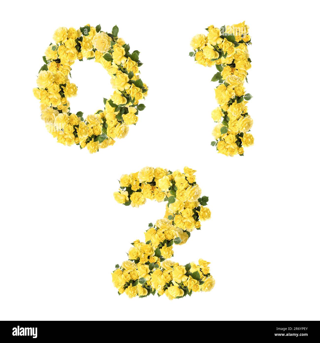 3D illustration of yellow rose flowers capital letter alphabet - digits 0-2 Stock Photo