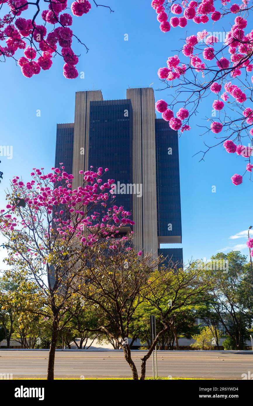 Central bank building in the city of Brasilia, capital of Brazil Stock Photo