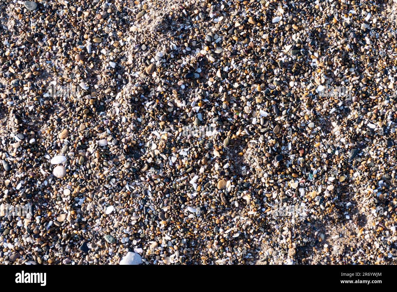 Sand Shell Material Detail texture sand shells on hi-res stock photography and images - Alamy