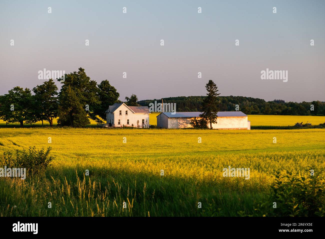 A rural landscape featuring a grassy field dotted with trees and farm ...
