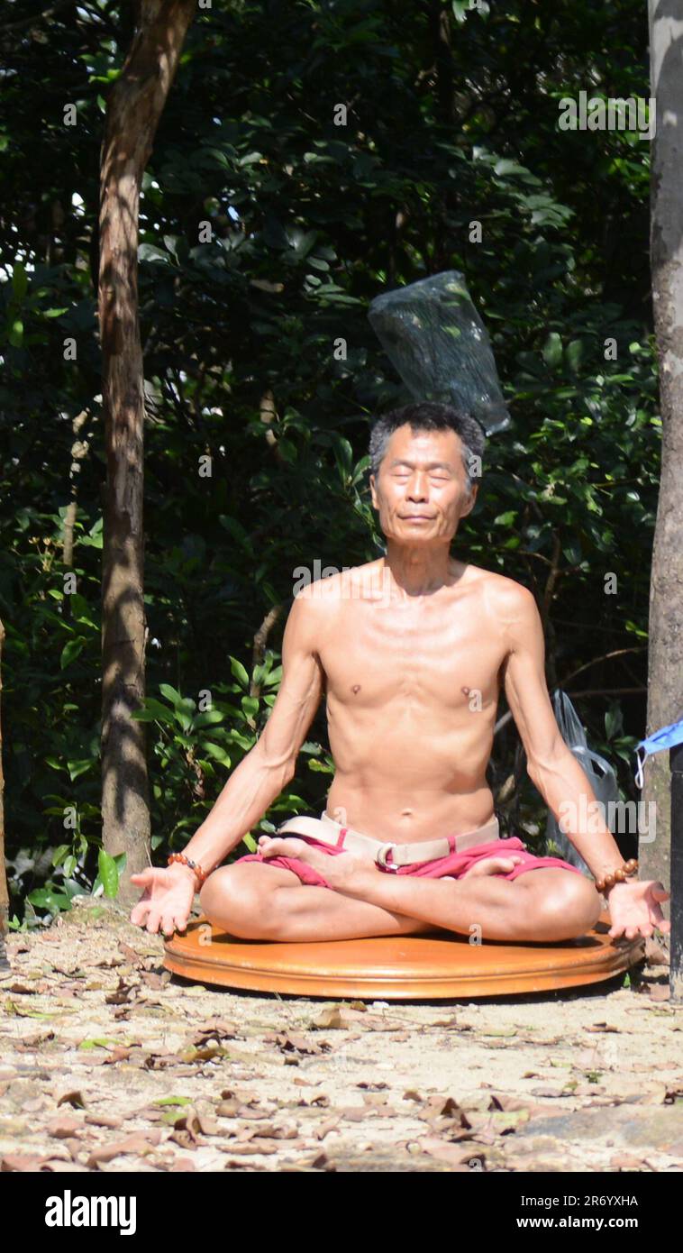 A Chinese man meditating in the forest in Hong Kong. Stock Photo