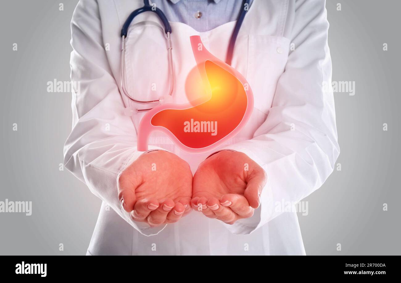 Treatment of heartburn and other gastrointestinal diseases. Doctor holding stomach illustration on grey background, closeup Stock Photo