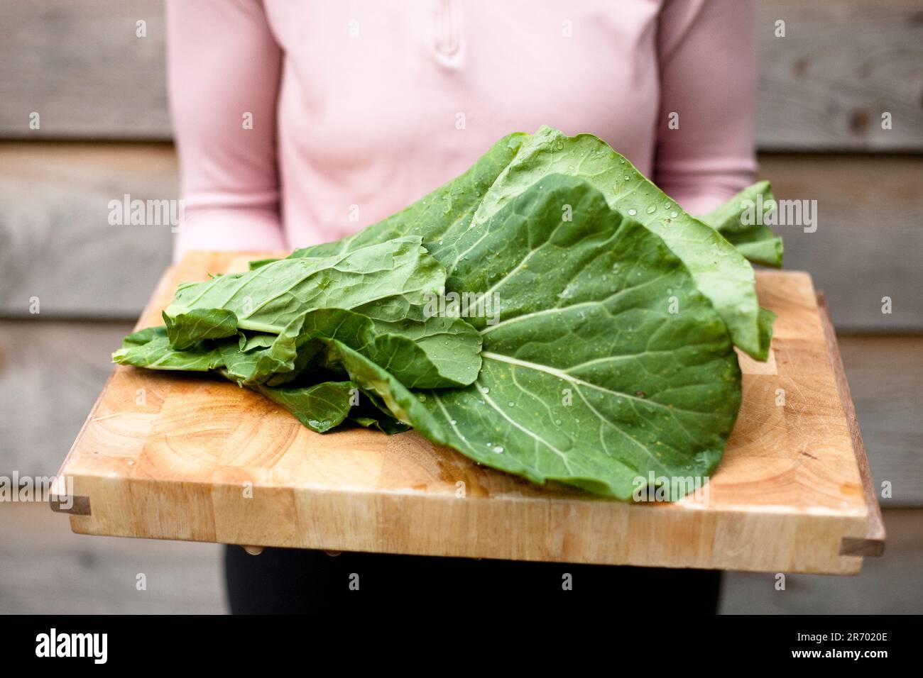 https://c8.alamy.com/comp/2R7020E/a-young-woman-holds-a-wooden-cutting-board-laden-with-organic-collard-greens-from-her-garden-in-seattle-washington-2R7020E.jpg