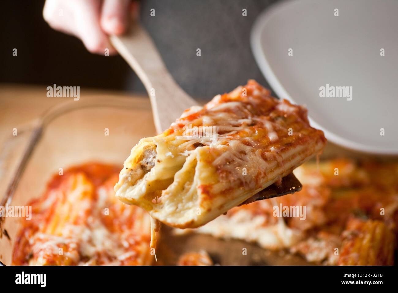 https://c8.alamy.com/comp/2R7021B/home-made-lasagna-on-a-spatula-in-a-house-in-seattle-wa-2R7021B.jpg