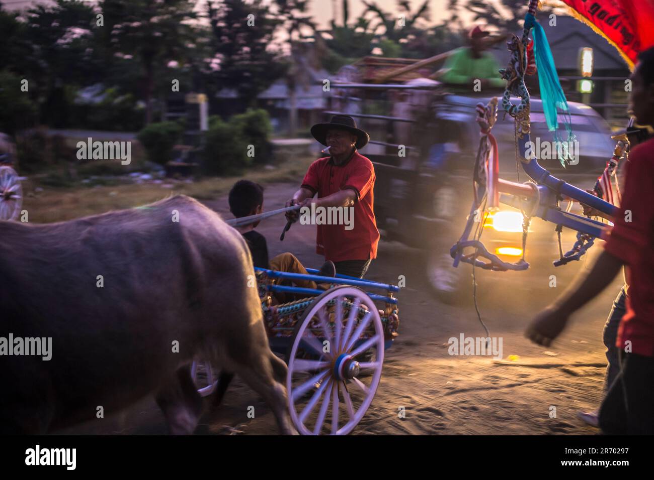 Bulalo Racer Bufalo race.Bali island.Indonesia Stock Photo - Alamy