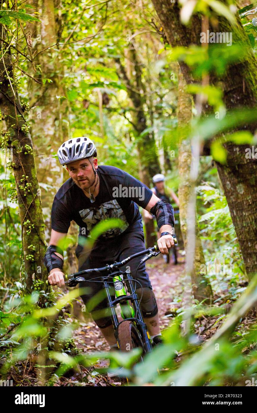 Mountain Biker Riding In Forest Trail Of Bali, Indonesia Stock Photo ...