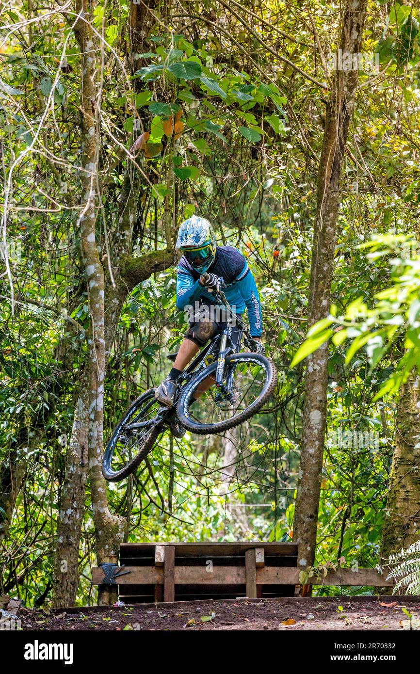 Mountain Biker Riding Through The Rainforest In Bali, Indonesia Stock ...