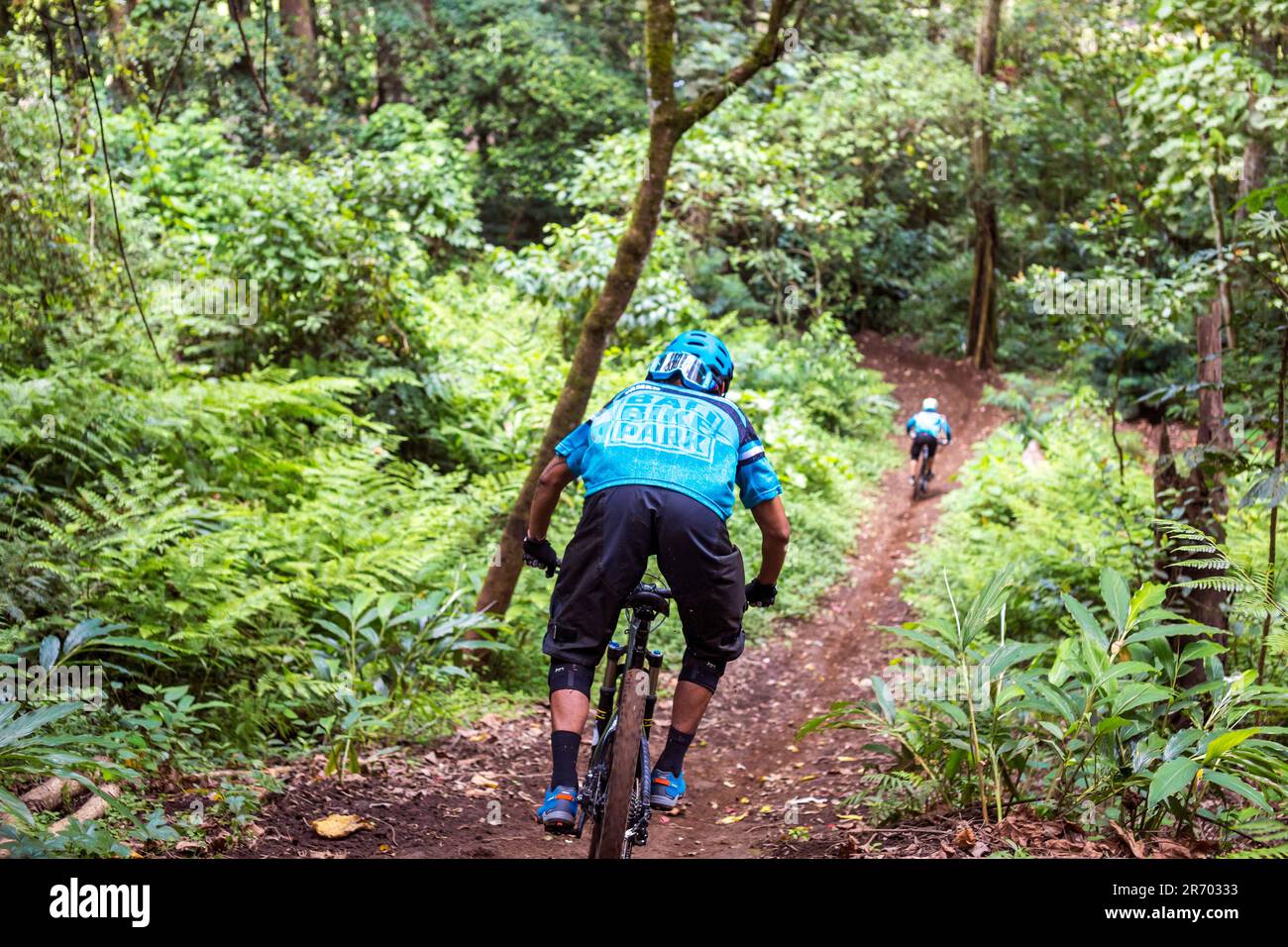 Mountain Biker Riding Through Dirt Track Of Rainforest In Bali, Indonesia Stock Photo