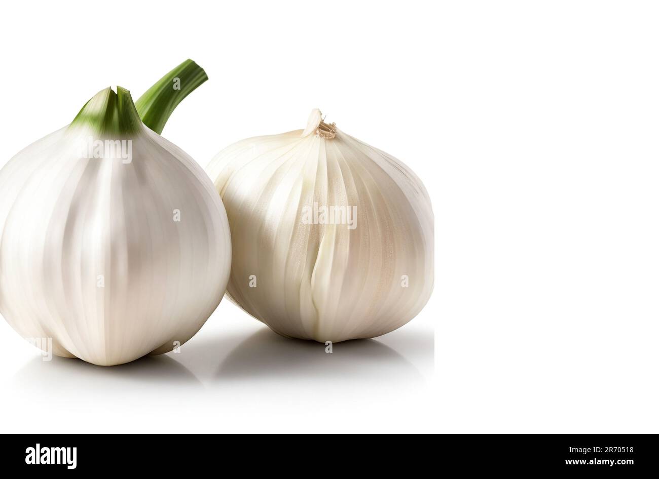 nature garlic closeup isolated on white background Stock Photo
