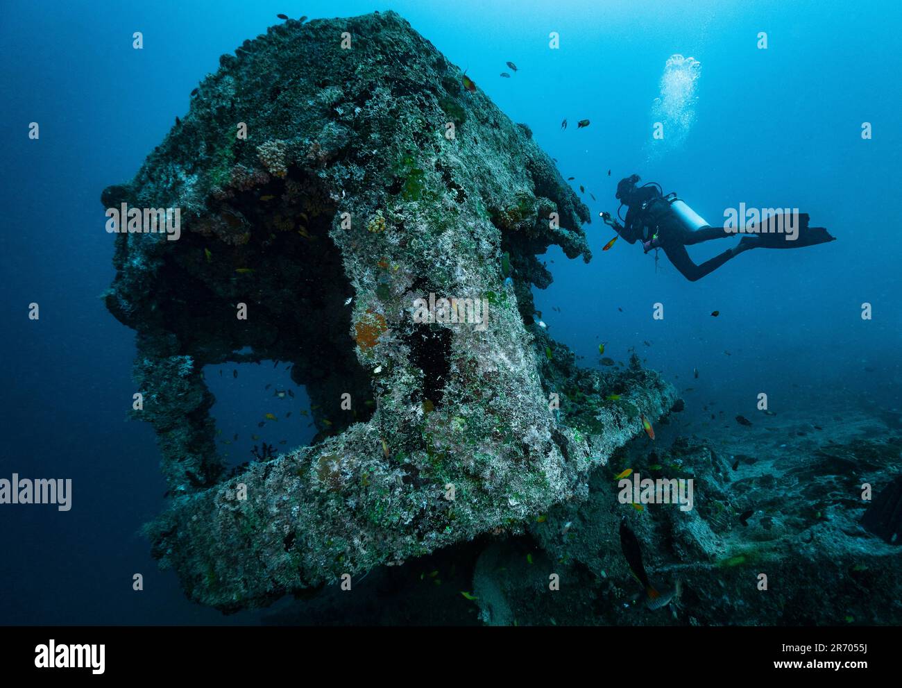 diver exploring ship wreck in the Maldives Stock Photo - Alamy