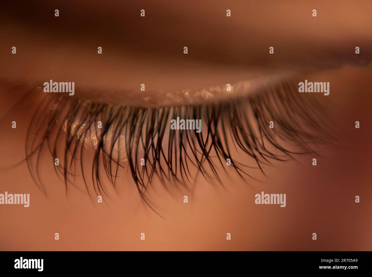 Long dark eyelashes up close Stock Photo