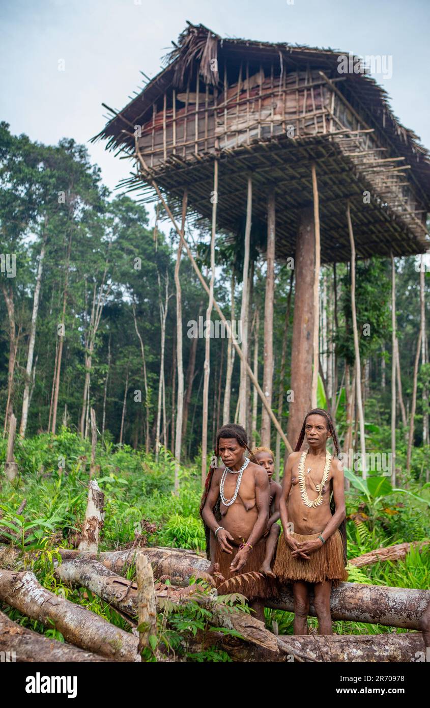 Few people Korowai tribe near his home in the jungle. Tribe of Korowai