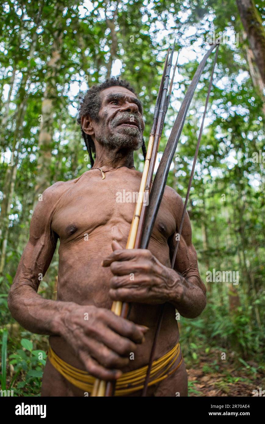 Korowai Hunter With Bow And Arrow Tribe Of Korowai Kombai Kolufo 