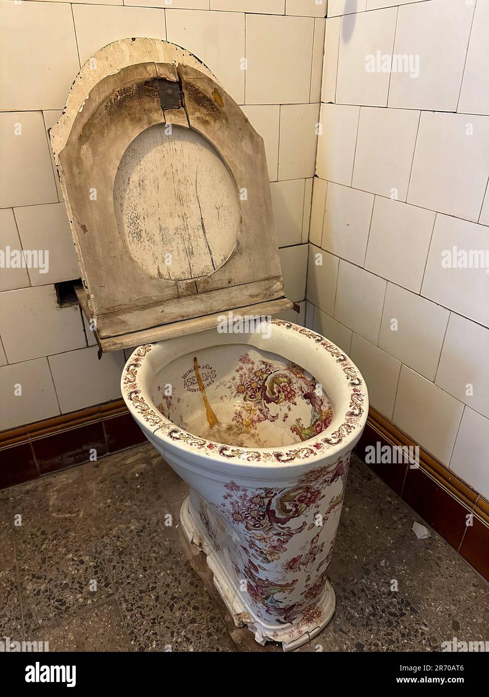 Painted china toilet in the Gargantini Mansion, now part of the National Museum of Wine & Grape Harvest, Maipu, Argentina.  Bautista Gargantini was co Stock Photo