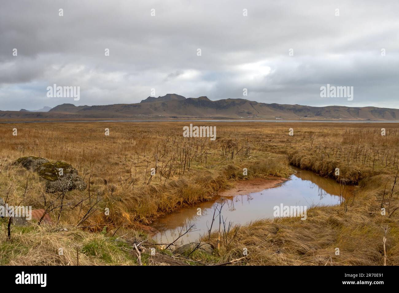 Autumn arctic nature. Yellow ground covered by lichen, grass and moss. Volcanic mountains. Small puddle. Dramatic cloudy sky. South-central Iceland. Stock Photo