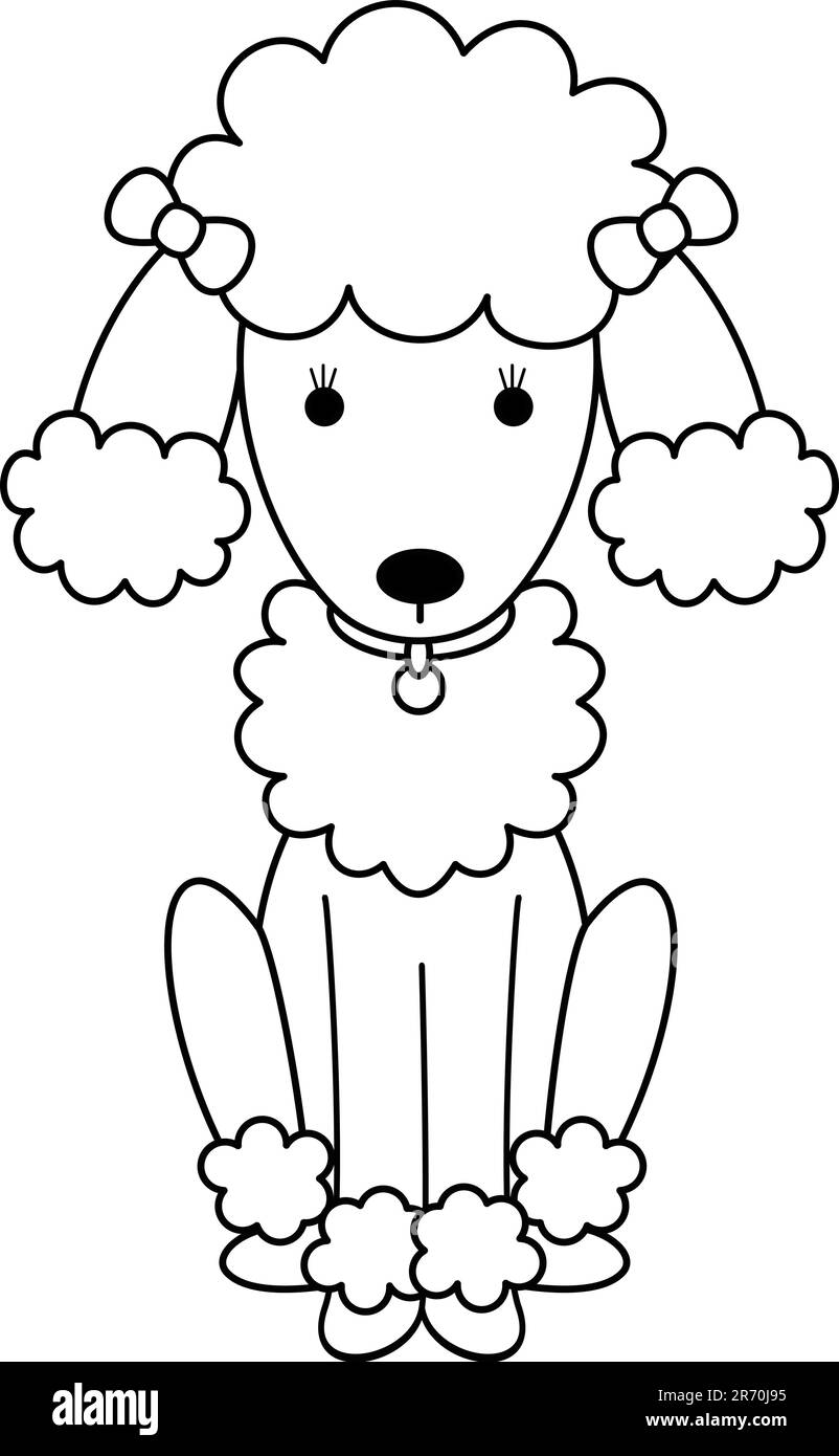 Black and White Illustration of a French Poodle Stock Vector