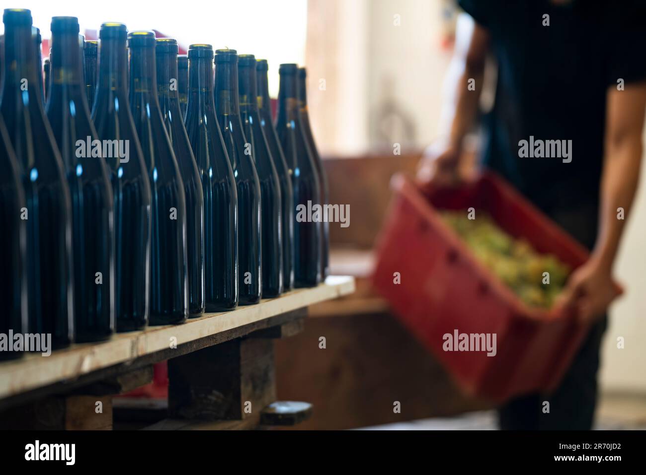 Full bottles of unlabeled red wine inside a wine cellar Stock Photo Alamy