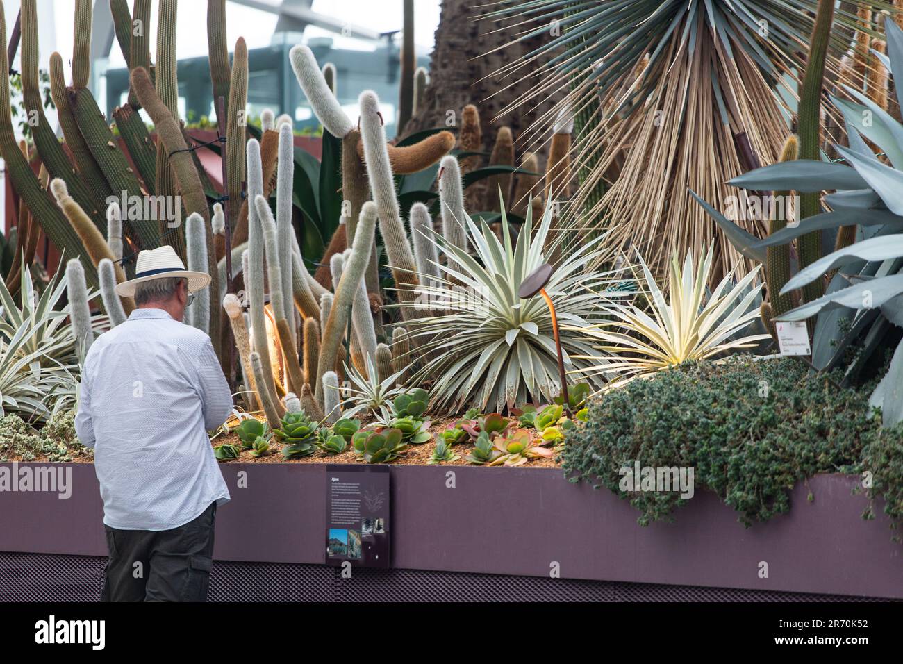 Man made landscaping view hi-res stock photography and images - Alamy