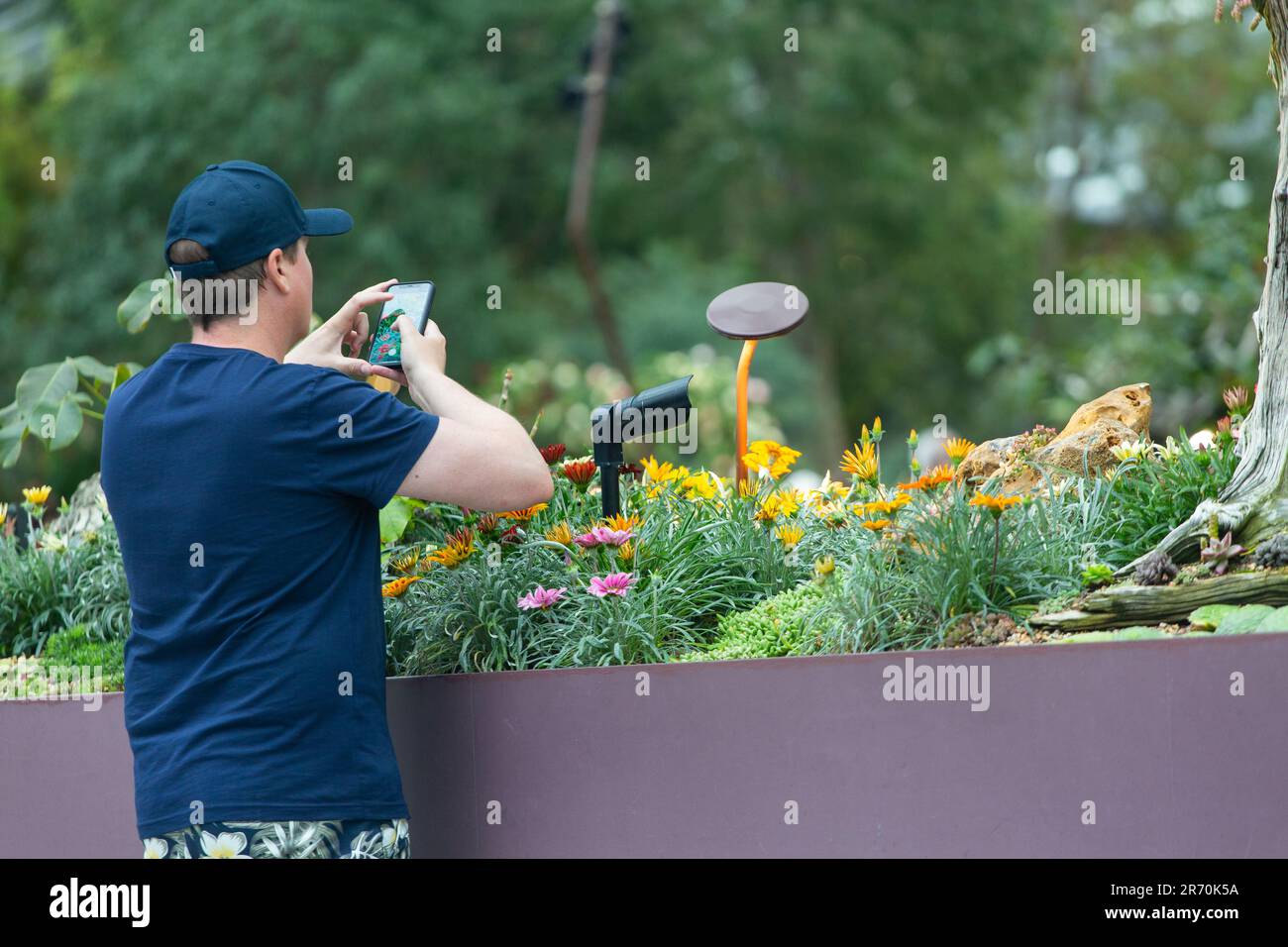A mid 20s caucasian man in cap is using smart phone taking picture of the beautiful flowers inside Flower Dome, Gardens by the Bay. Singapore. Stock Photo