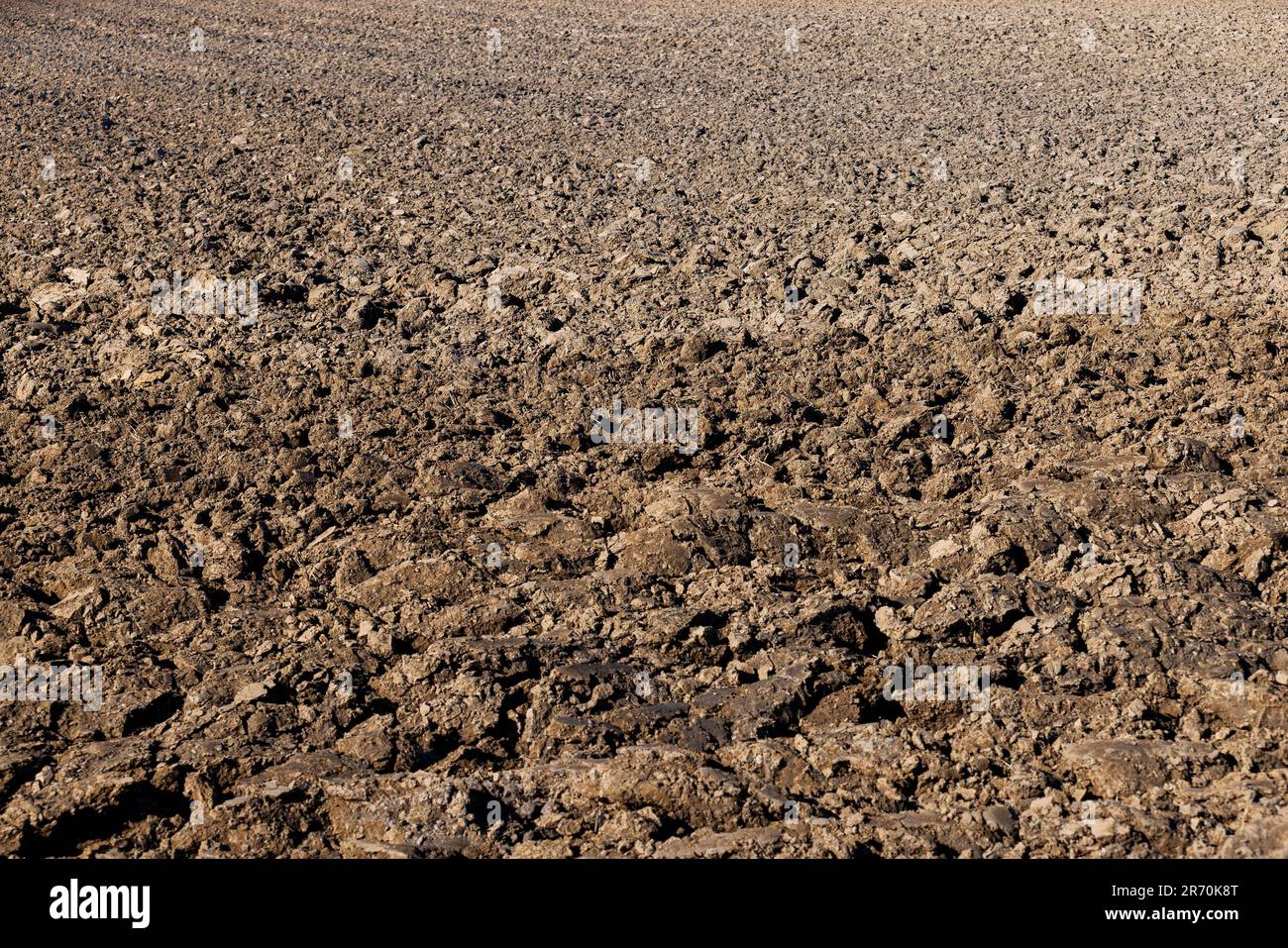 Preparation soil sowing plants hi-res stock photography and images - Alamy