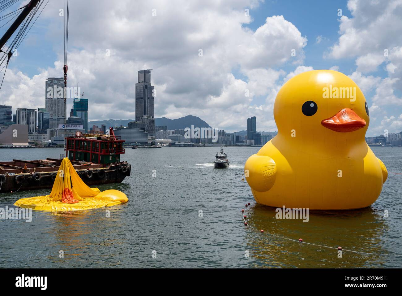 Hong Kong, Hong Kong. 12th June, 2023. A deflated giant rubber duck on June  12, 2023 in Hong Kong, China. One of the ducks part of the double duck  exhibition returns after