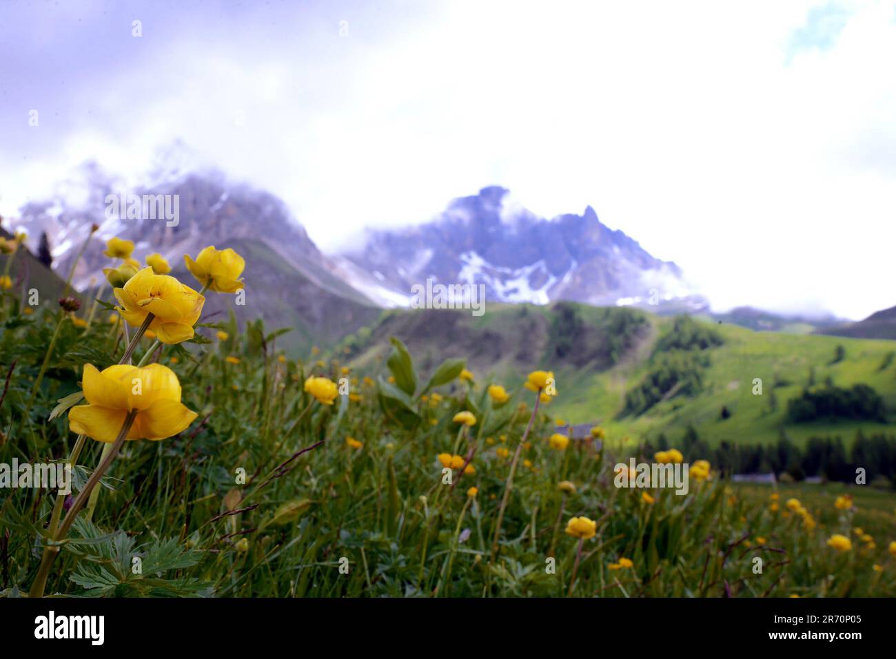 landscape photography in Trentino Alto Adige Stock Photo - Alamy