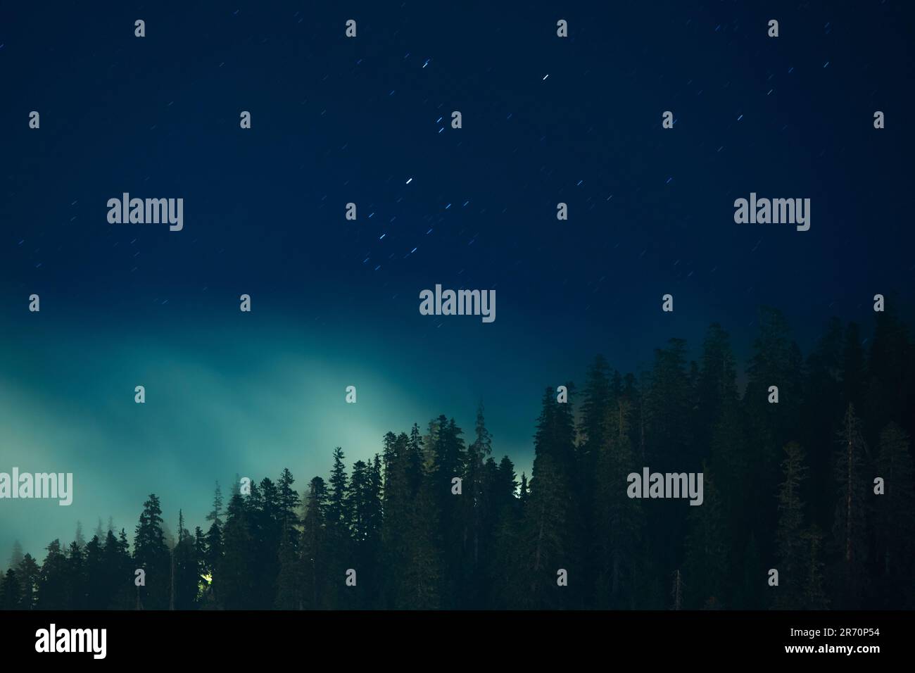 Stars and fog above the night forest Stock Photo - Alamy