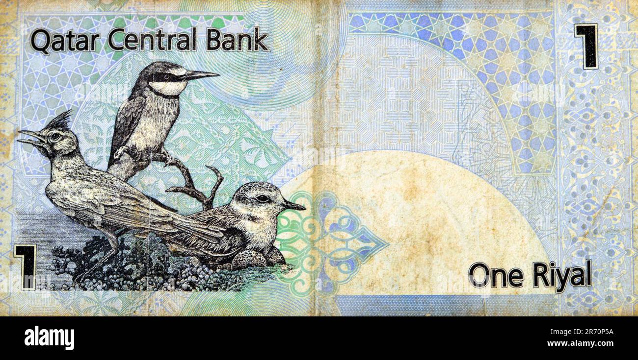 Large fragment of the reverse side of 1 Qatari Riyal cash money currency of Qatar banknote with native birds Crested Lark Galerida cristata, Eurasian Stock Photo