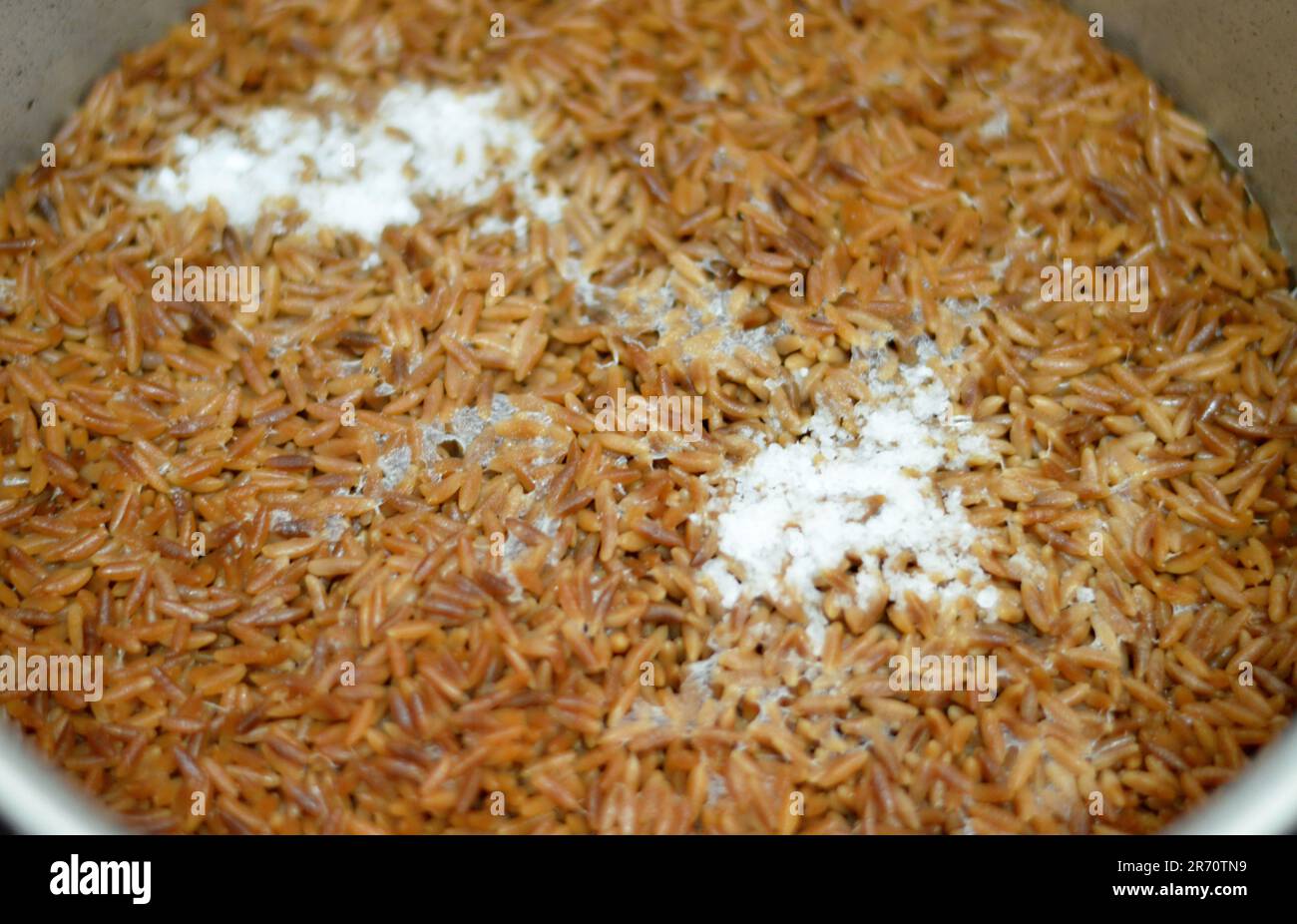 Middle Eastern Orzo Pasta Egyptian soup also known as Shorbet Lesan El