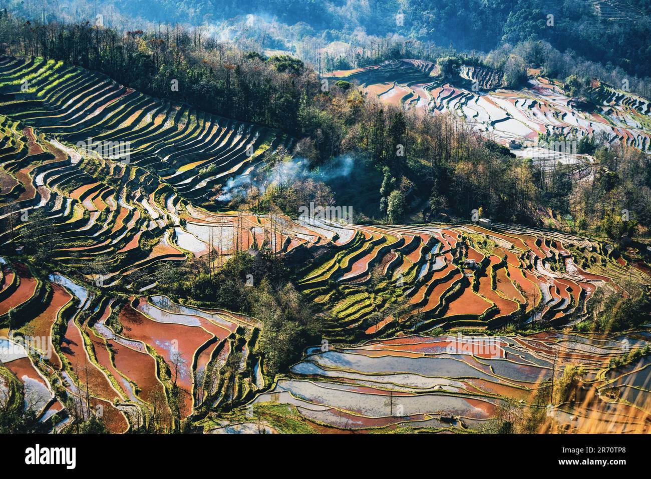 A wide landscape featuring an array of rolling, Yuan Yang terraces with the bright sunlight Stock Photo