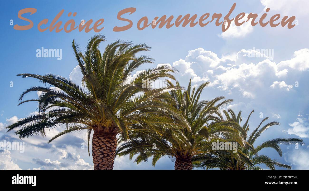 Palm trees against a blue sky and clouds, at the top of the picture it says in german Schöne Sommerferien (Beautiful Summer Holidays) Stock Photo