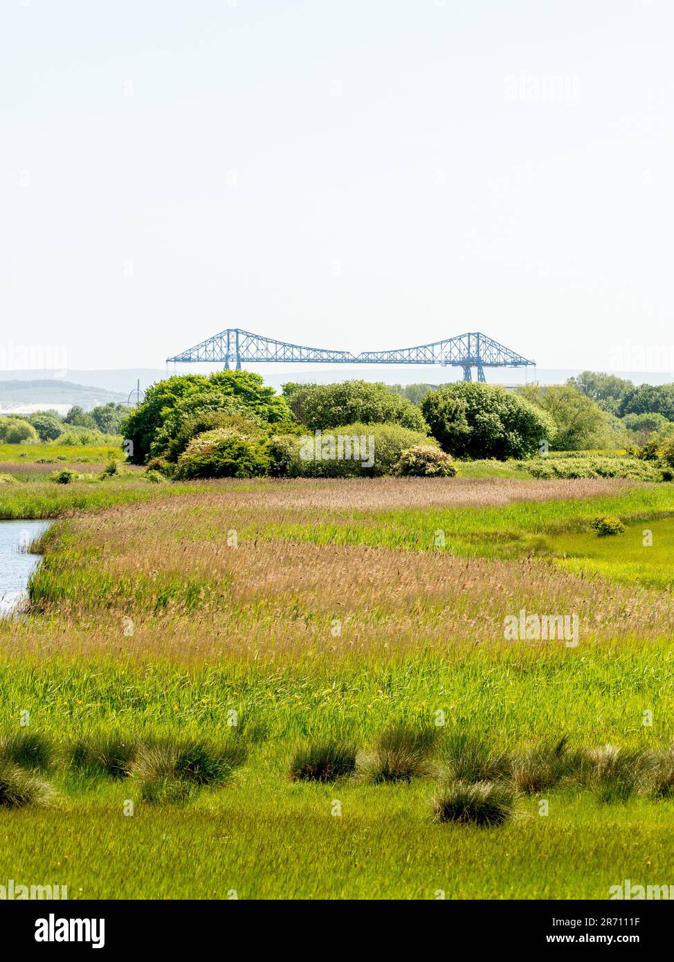 Reedbeds surrounding Haverton Hole pools at RSPB Saltholme nature reserve with the Middlesbrough Transporter bridge in the distance. UK Stock Photo