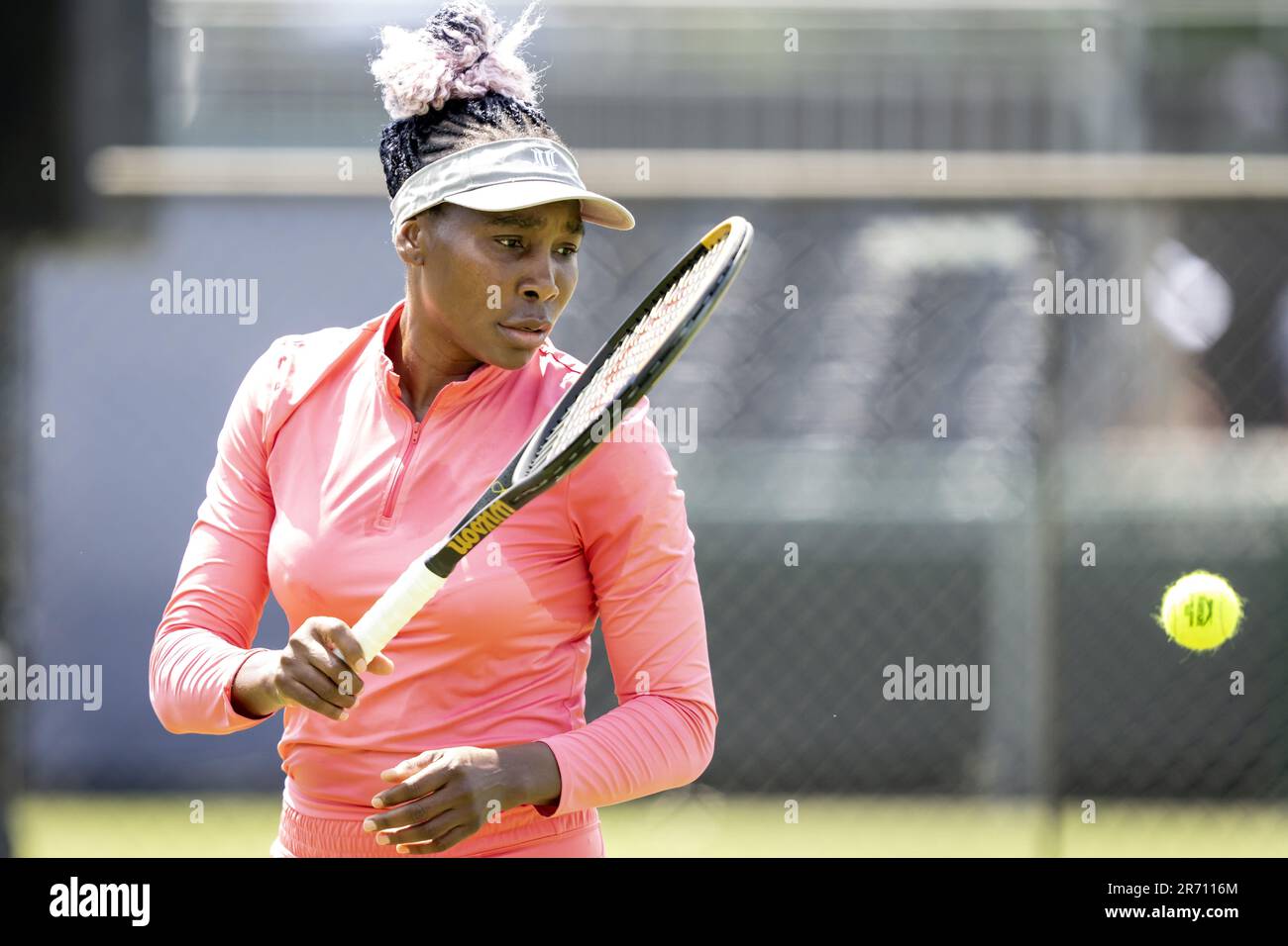 Rosmalen Netherlands. 12th June 2023. ROSMALEN Venus Williams USA trains on the first day of the
