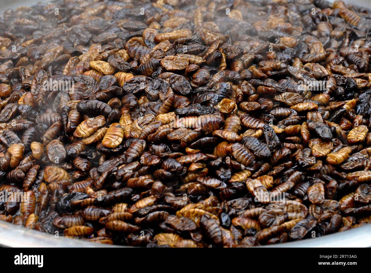 South Korea. Busan. fish market Stock Photo