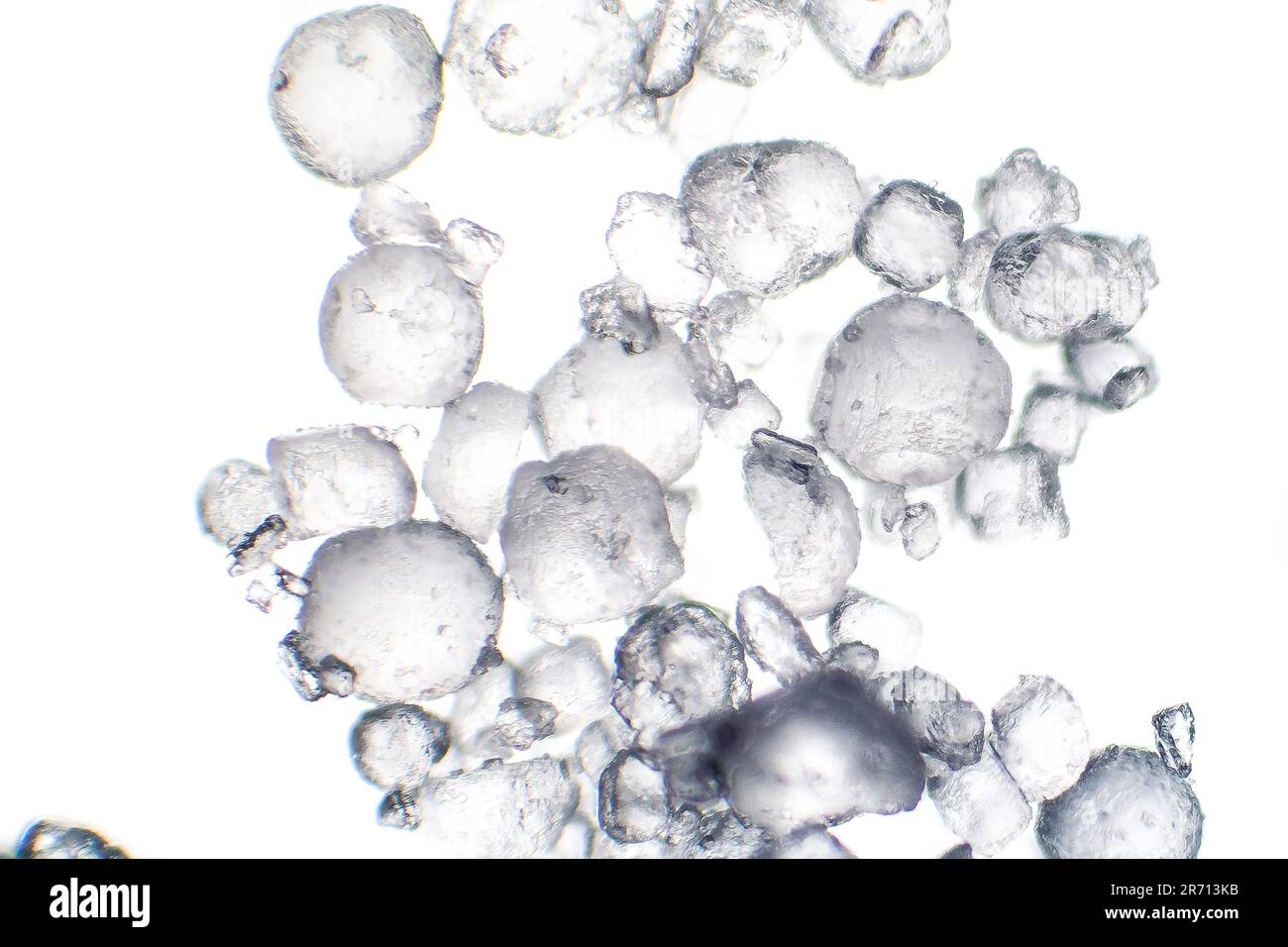 Salt crystals under microscope, light micrograph, close-up view Stock ...