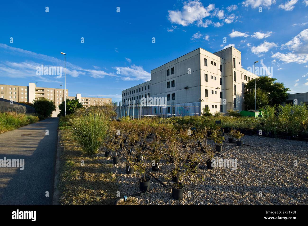 Italy. lombardy. Bollate prison. female word Stock Photo