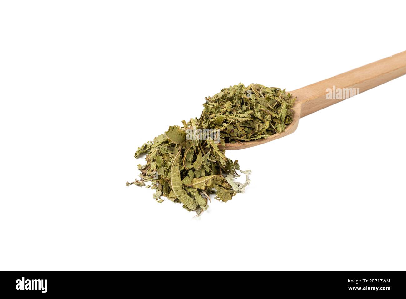 Dried leaves o Lemon verbena in latin Aloysia citrodora on wooden spoon