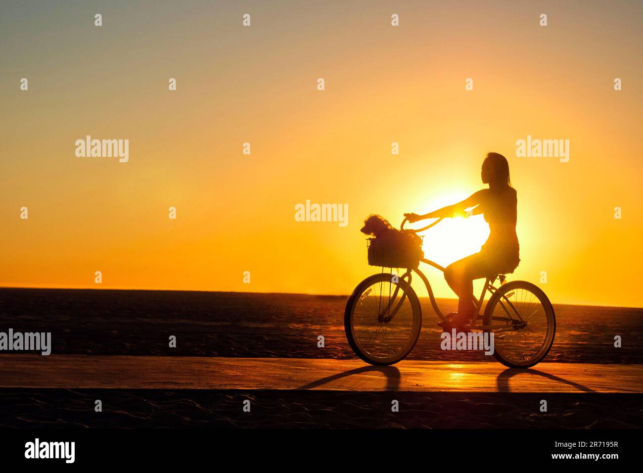 Young woman on a bicycle with pet dog in Venice Beach Los Angeles California USA Stock Photo