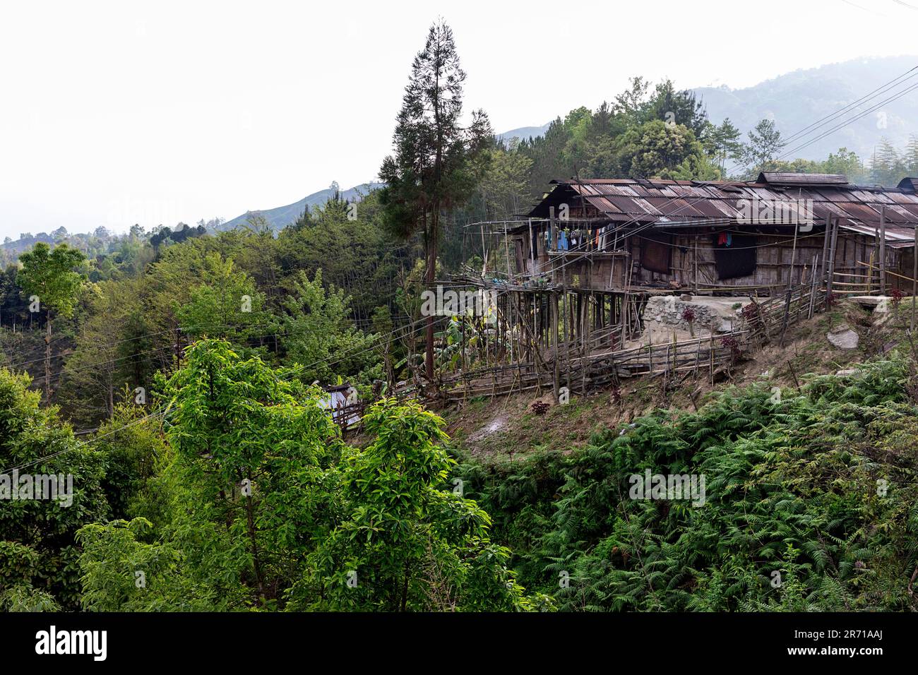 Traditional wooden houses made from bamboo of a Nyishi tribe in a small